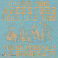 American Indian Youre Probably An Immigrant Sueded Cloud Jersey T-Shirt thumb 2