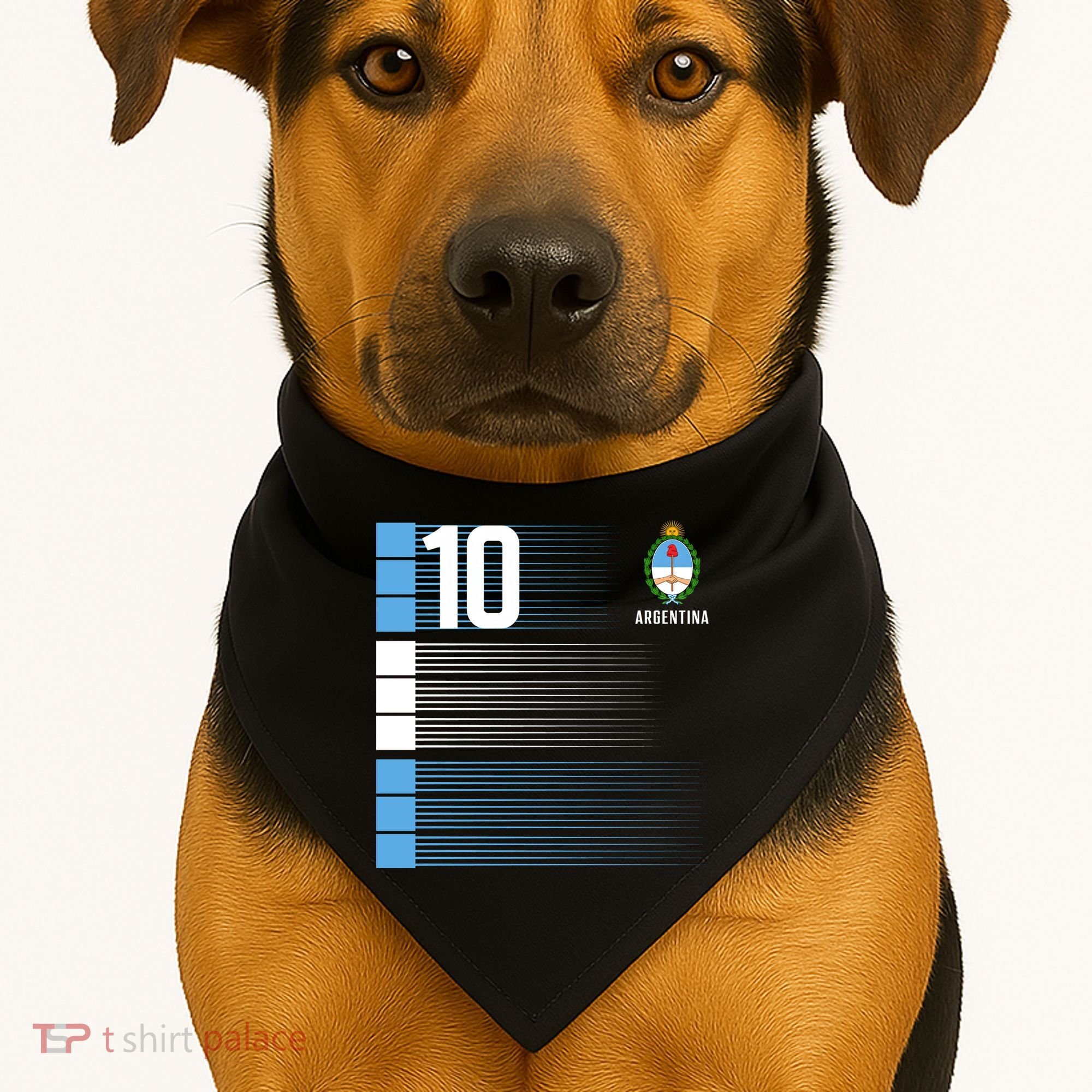 Argentina Jersey 10 Soccer World USA-Made Doggie Bandana