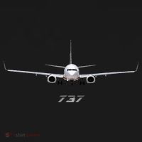 Airline Jet 737 Aircraft Passenger Aircraft Doggie Tank thumb 4