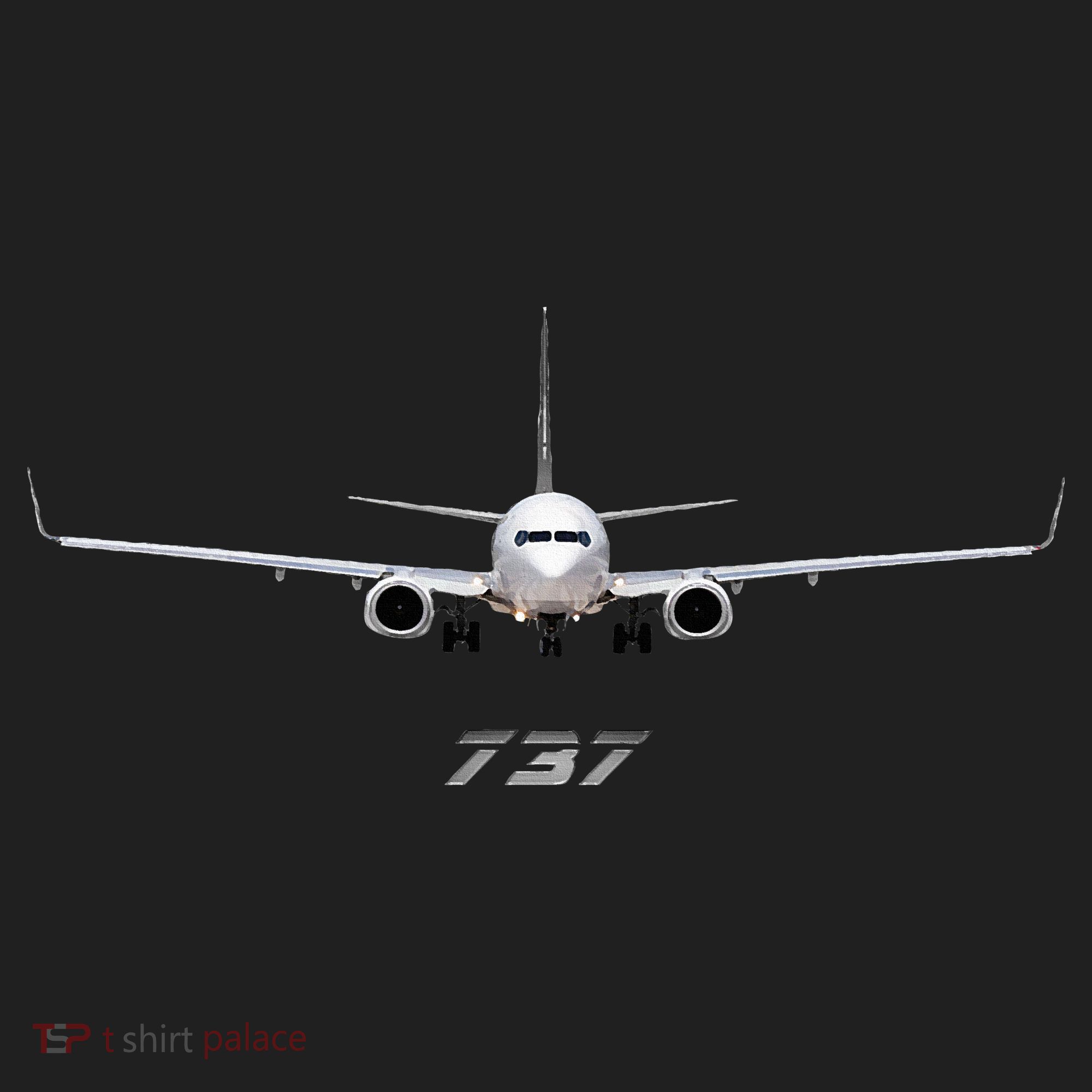 Airline Jet 737 Aircraft Passenger Aircraft Beanie
