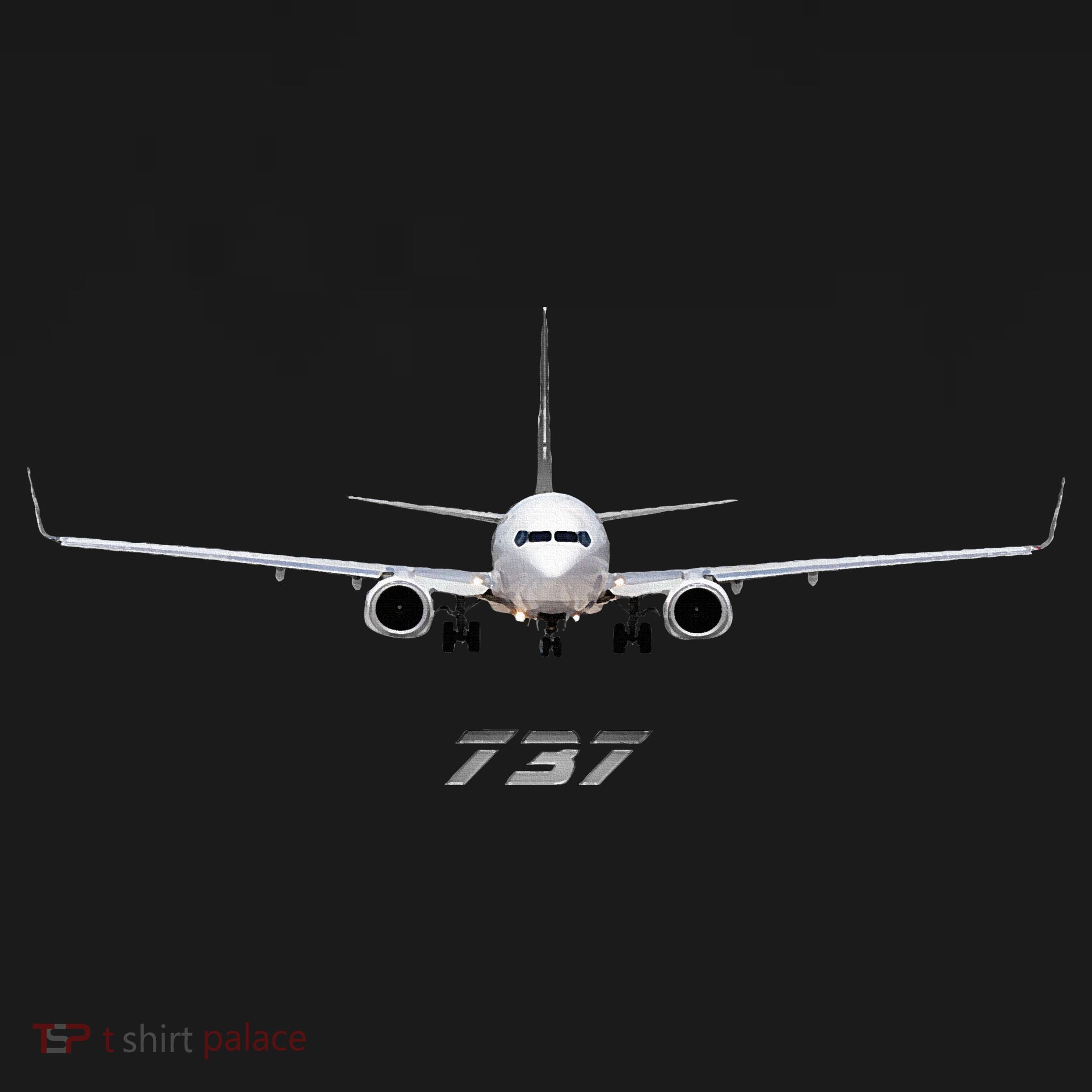 Airline Jet 737 Aircraft Passenger Aircraft Women's Hoodie
