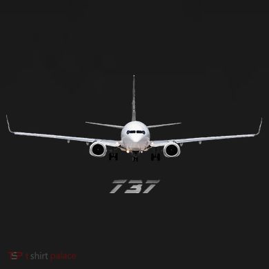 Airline Jet 737 Aircraft Passenger Aircraft Ornament