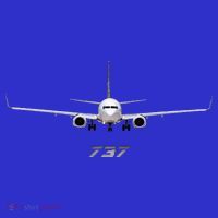 Airline Jet 737 Aircraft Passenger Aircraft Sweatshirt thumb 3