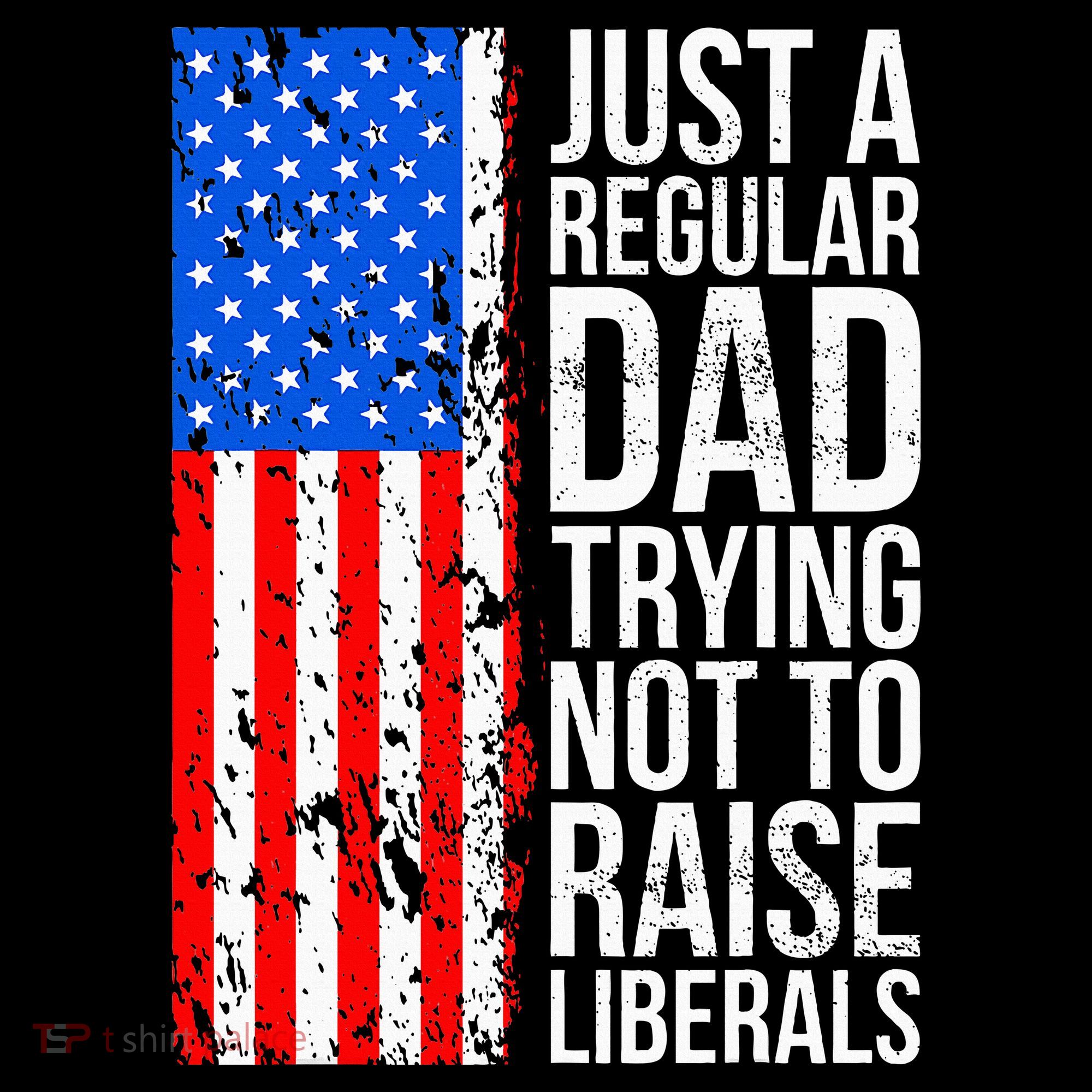 Antiliberal Just A Regular Dad Trying Not To Raise Liberals Women's Hoodie