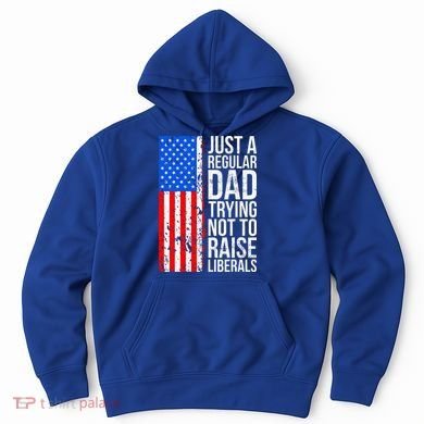 Antiliberal Just A Regular Dad Trying Not To Raise Liberals Hoodie