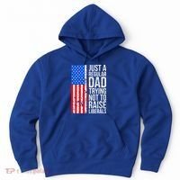 Antiliberal Just A Regular Dad Trying Not To Raise Liberals Hoodie thumb 0
