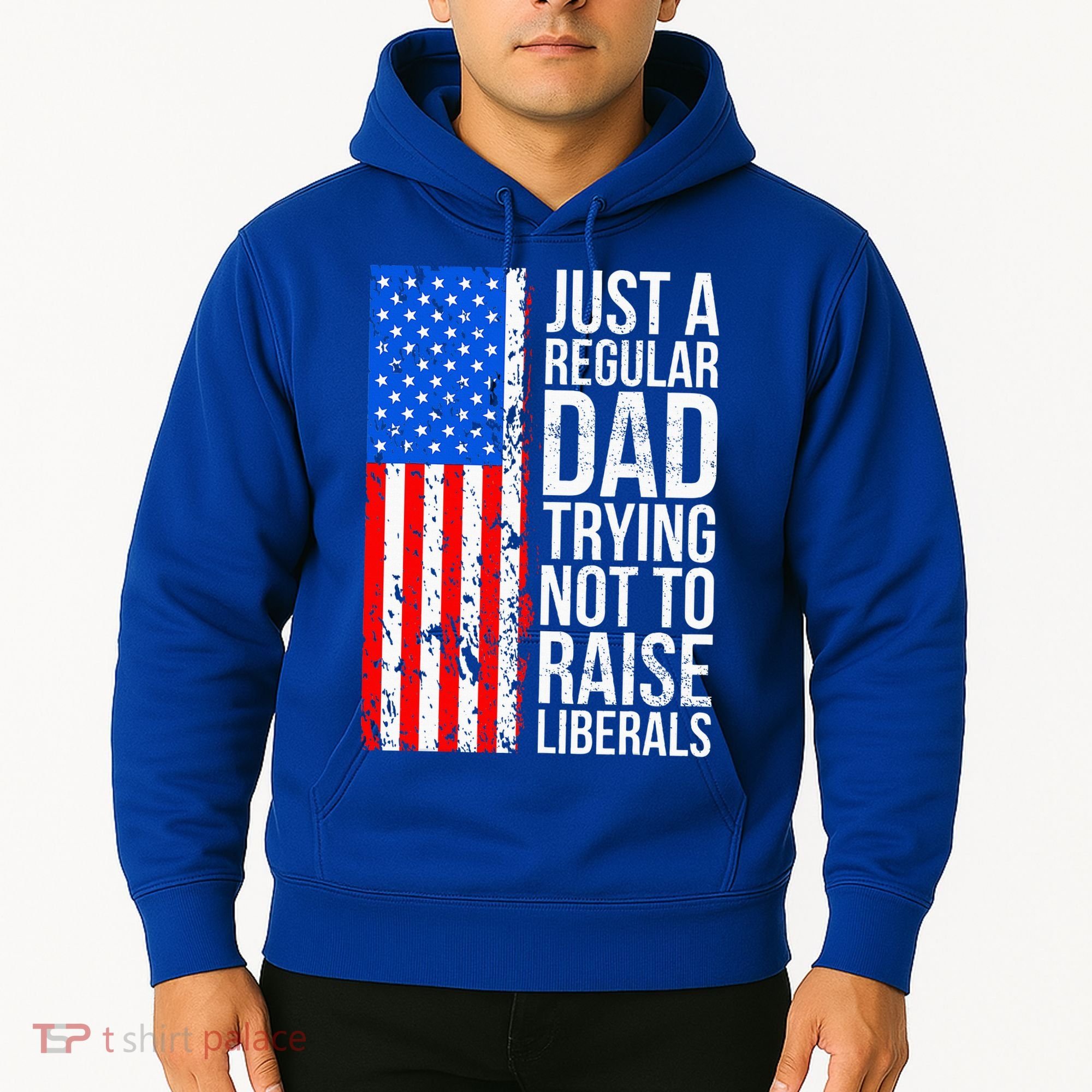 Antiliberal Just A Regular Dad Trying Not To Raise Liberals Hoodie