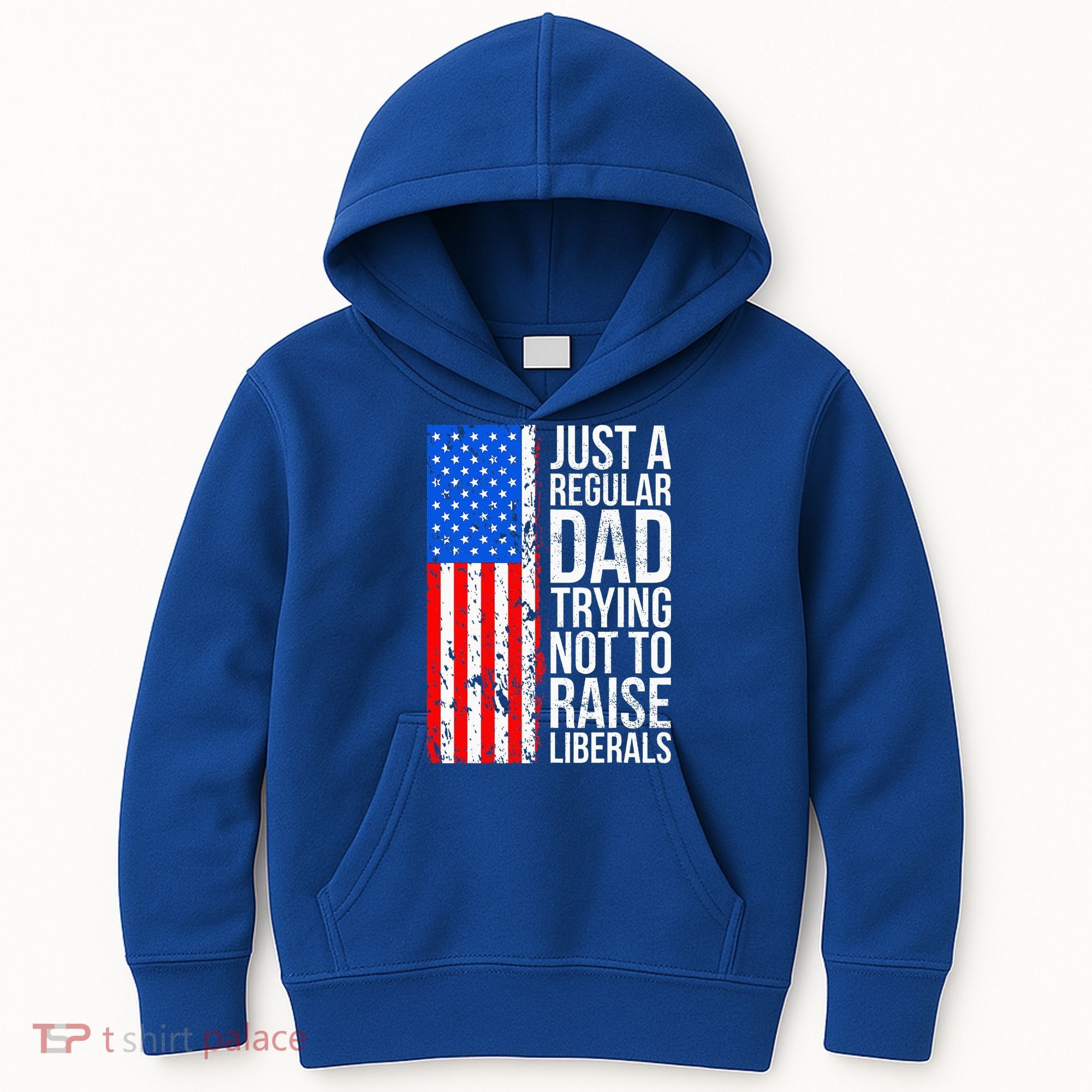 Antiliberal Just A Regular Dad Trying Not To Raise Liberals Kids Hoodie