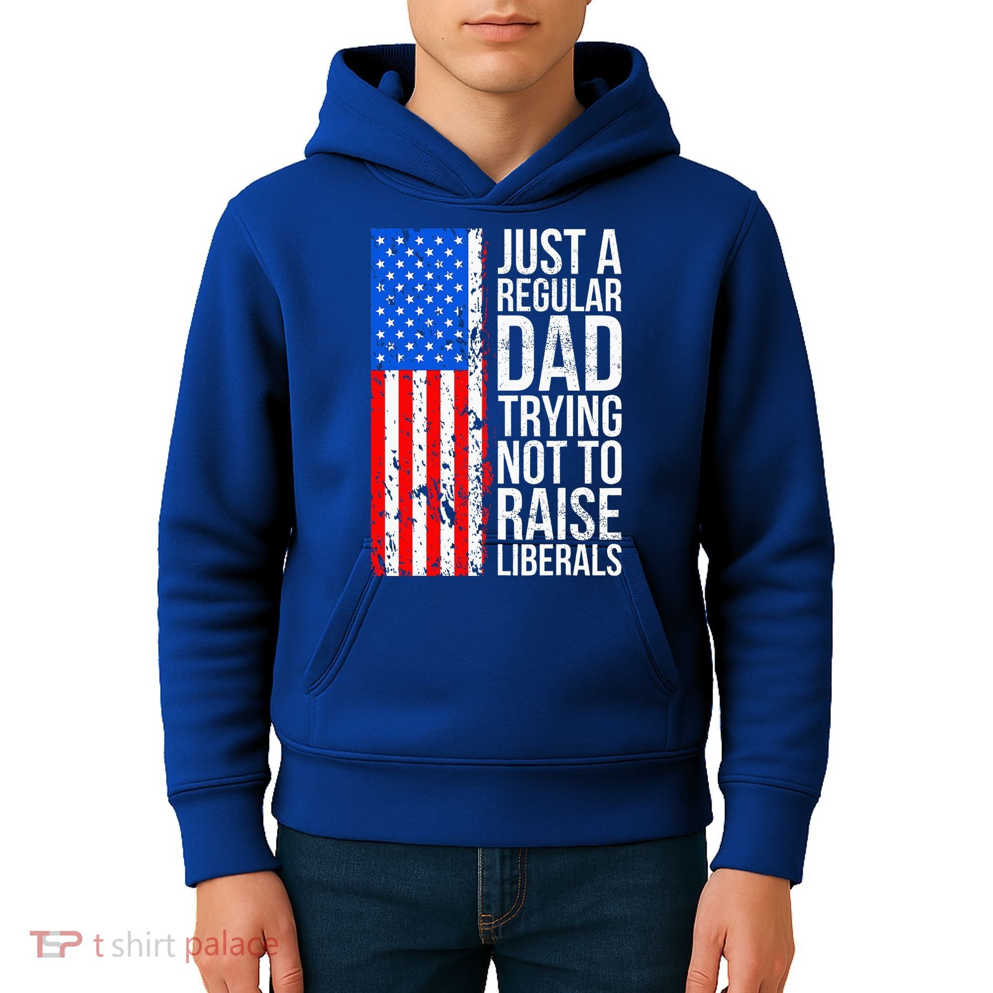 Antiliberal Just A Regular Dad Trying Not To Raise Liberals Kids Hoodie