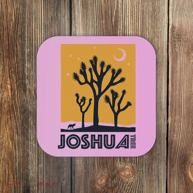 America Joshua Tree California Coaster