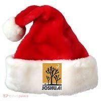 America Joshua Tree California Santa Hat thumb 0