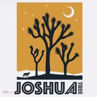 America Joshua Tree California Hoodie thumb 7