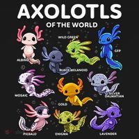 Axolotl Kawaii Axolotls Of The World Axolotl Animals Women's Hoodie thumb 2
