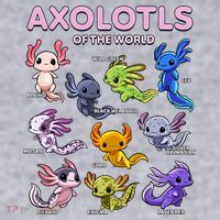 Axolotl Kawaii Axolotls Of The World Axolotl Animals Women's Racerback Cropped Tank thumb 2