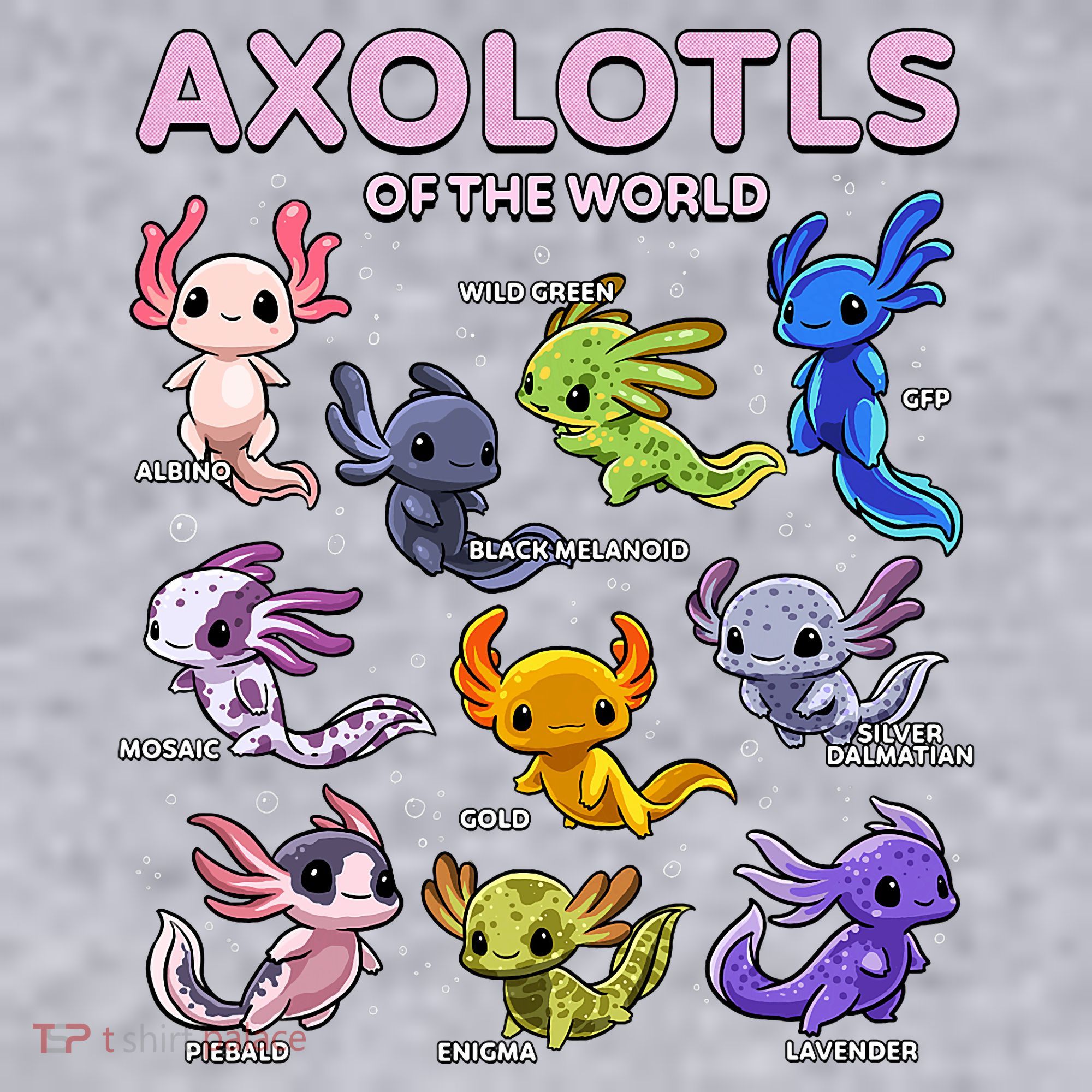Axolotl Kawaii Axolotls Of The World Axolotl Animals Women's Racerback Cropped Tank