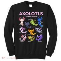 Axolotl Kawaii Axolotls Of The World Axolotl Animals Sweatshirt thumb 0
