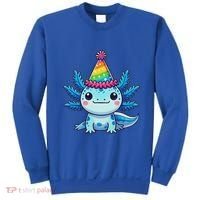 Anime Kawaii Axolotl Birthday Party Hat Sweatshirt thumb 0