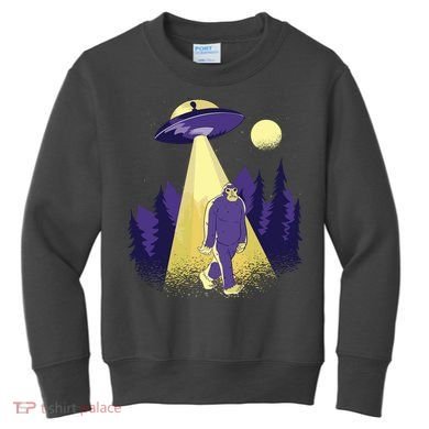 Aliens Kidnapping Bigfoot Kids Sweatshirt