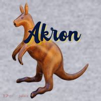 Akron Kangaroo Fun Retro Zips Women's Sweatshirt thumb 2