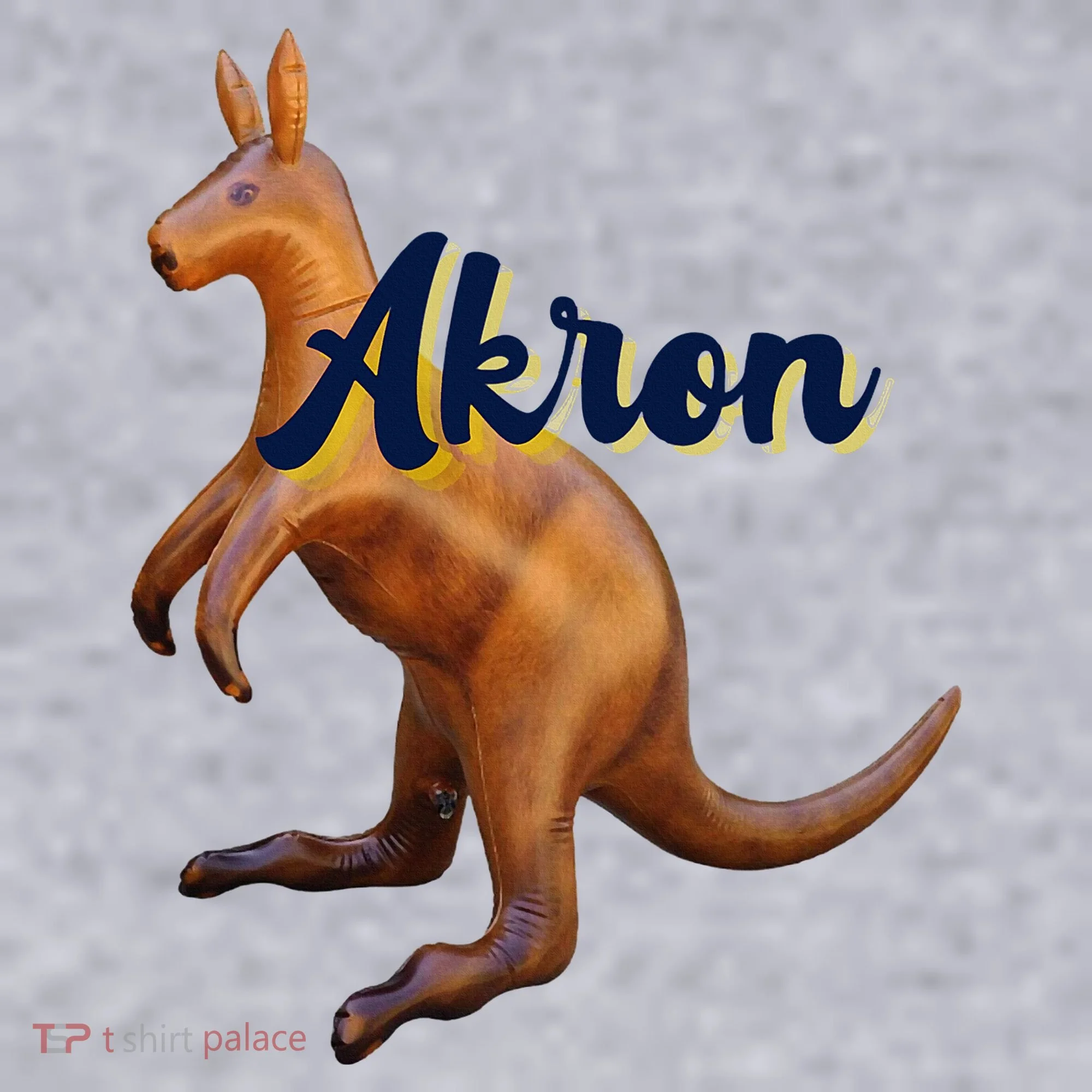 Akron Kangaroo Fun Retro Zips Women's Sweatshirt