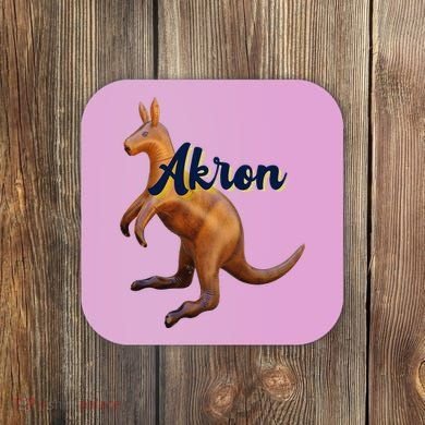 Akron Kangaroo Fun Retro Zips Coaster