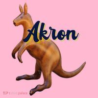 Akron Kangaroo Fun Retro Zips Coaster thumb 2