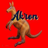 Akron Kangaroo Fun Retro Zips Santa Hat thumb 1