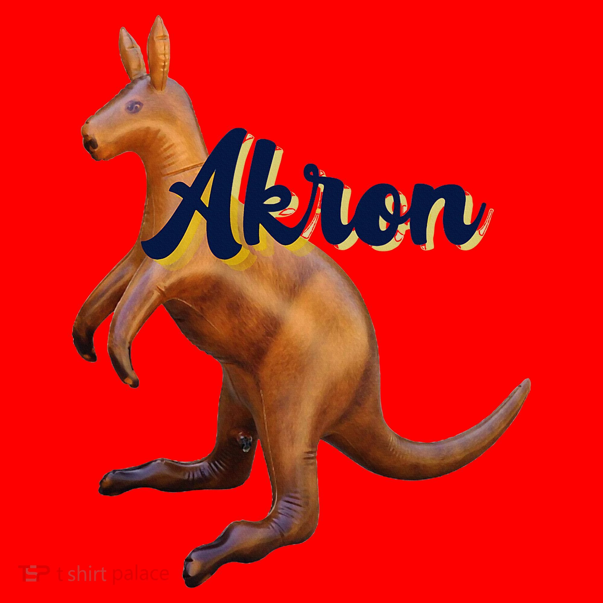 Akron Kangaroo Fun Retro Zips Santa Hat