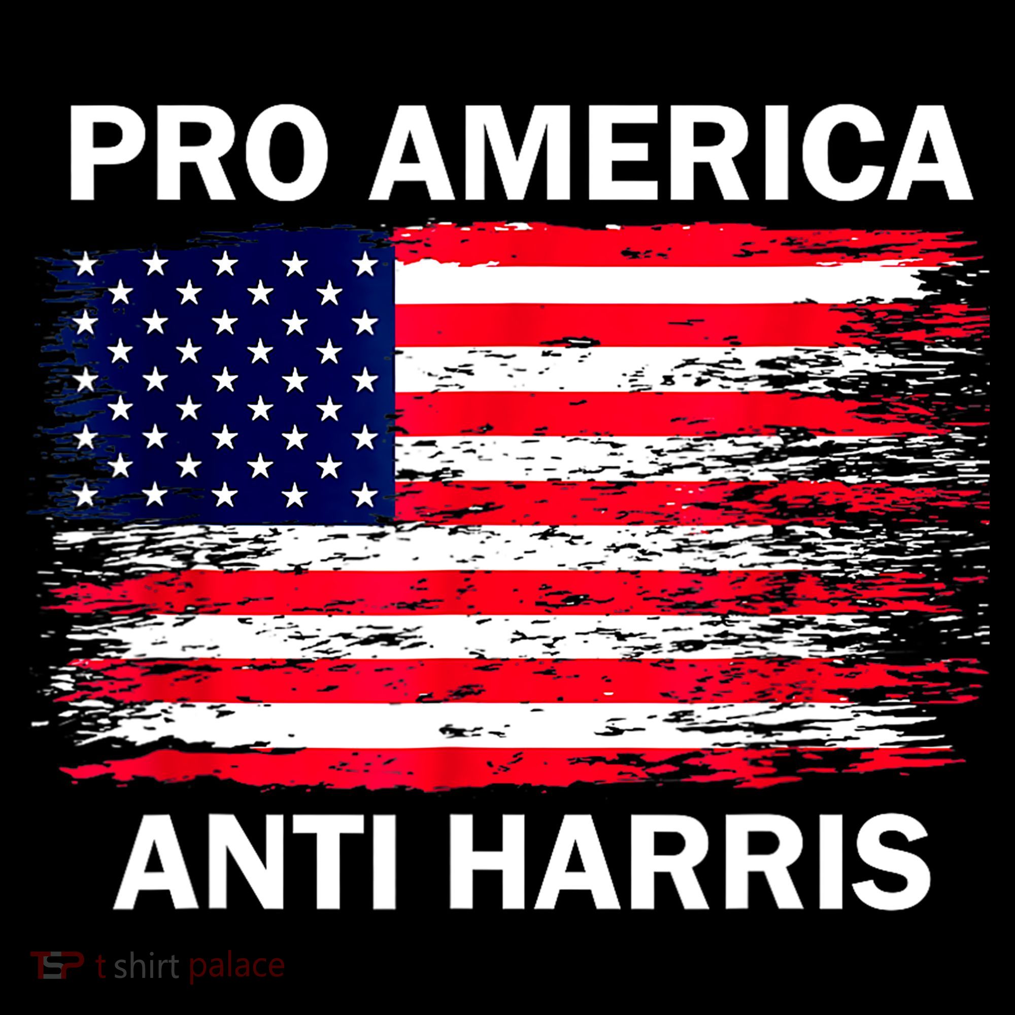 Anti Kamala Harris Pro America Flag Kamala Harris Gift Coffee Mug