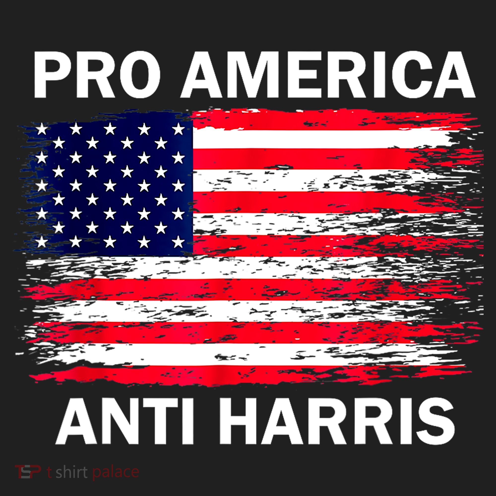Anti Kamala Harris Pro America Flag Kamala Harris Gift Beanie