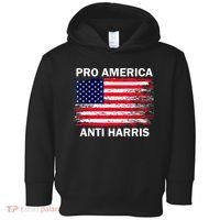 Anti Kamala Harris Pro America Flag Kamala Harris Gift Toddler Hoodie thumb 0