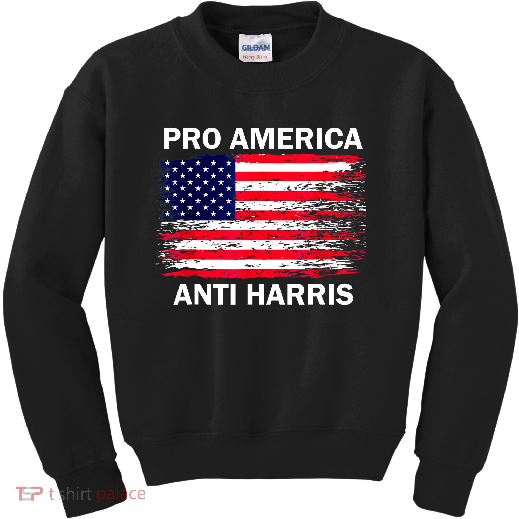 Anti Kamala Harris Pro America Flag Kamala Harris Gift Kids Sweatshirt