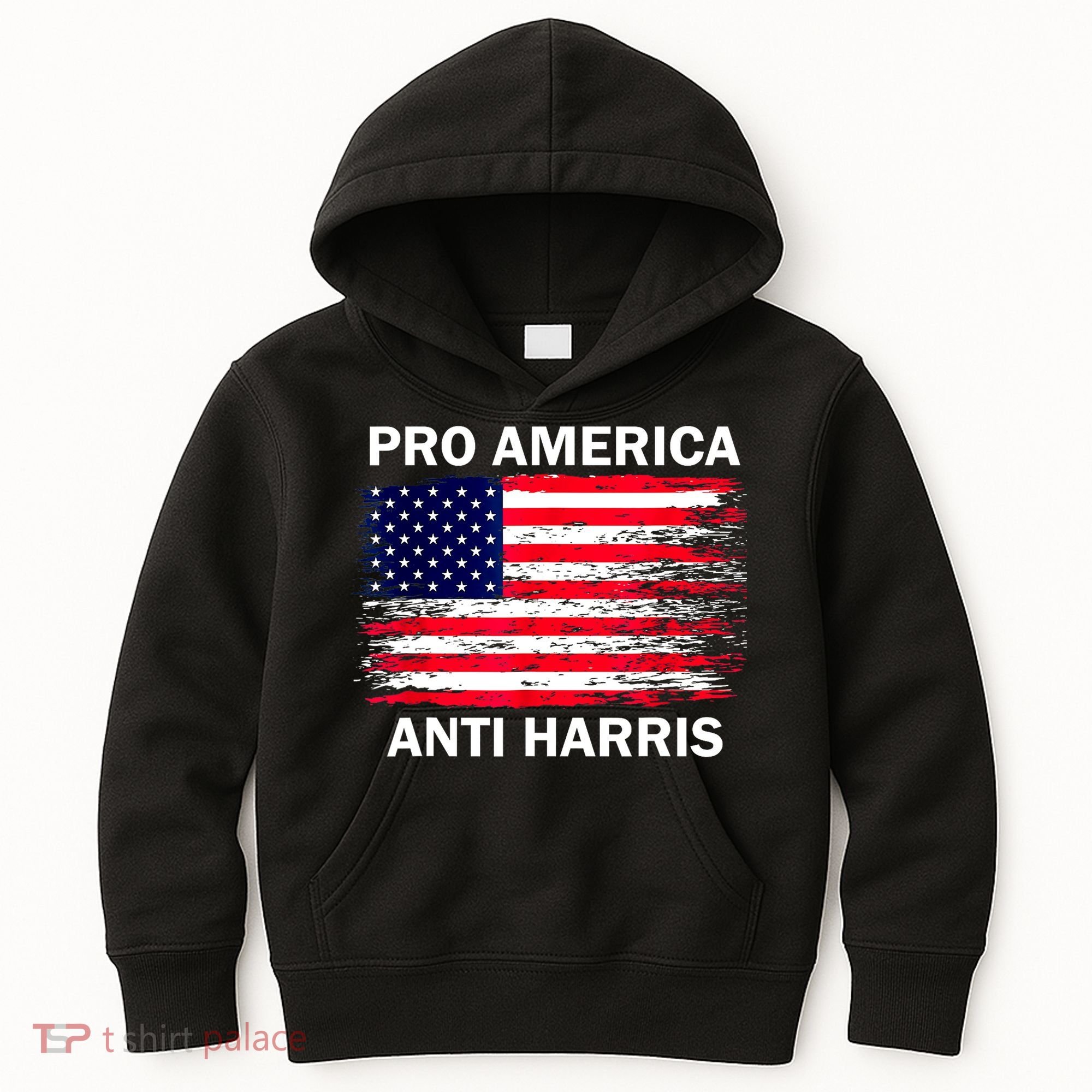 Anti Kamala Harris Pro America Flag Kamala Harris Gift Kids Hoodie