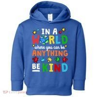 Autism Kindness Inspirational Be Kind Awareness Cute Gift Toddler Hoodie thumb 0