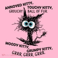 Annoyed Kitty Touchy Kitty Grouchy Ball Of Fur Moody Grumpy Coaster thumb 2