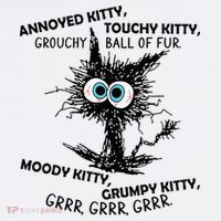 Annoyed Kitty Touchy Kitty Grouchy Ball Of Fur Moody Grumpy Sweatshirt thumb 3