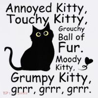 Annoyed Kitty Touchy Kitty Grouchy Ball Of Fur Black Cat Women's Hoodie thumb 2