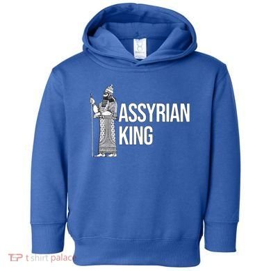 Assyrian King With An Assyrian King Funny Gift Toddler Hoodie