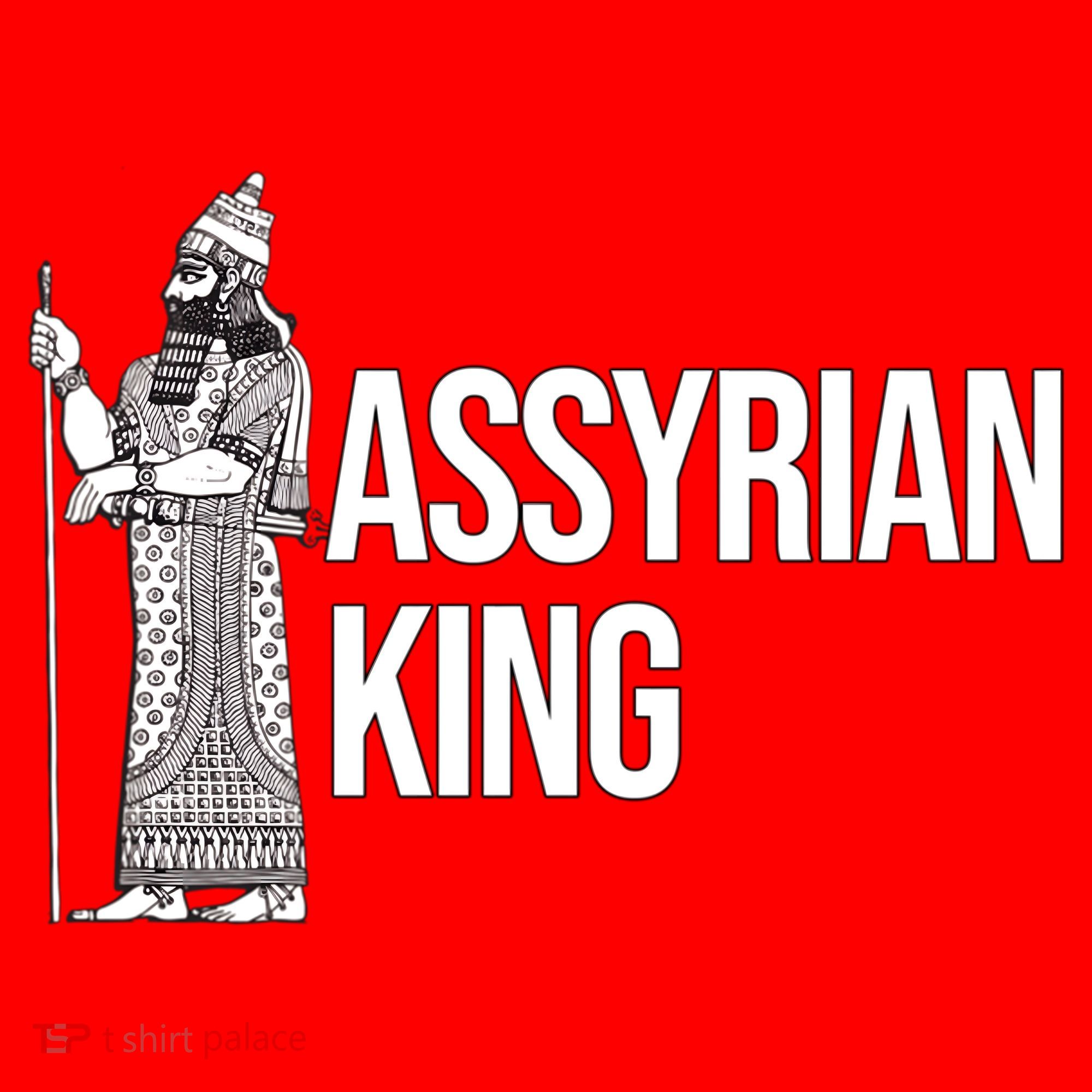 Assyrian King With An Assyrian King Funny Gift Santa Hat