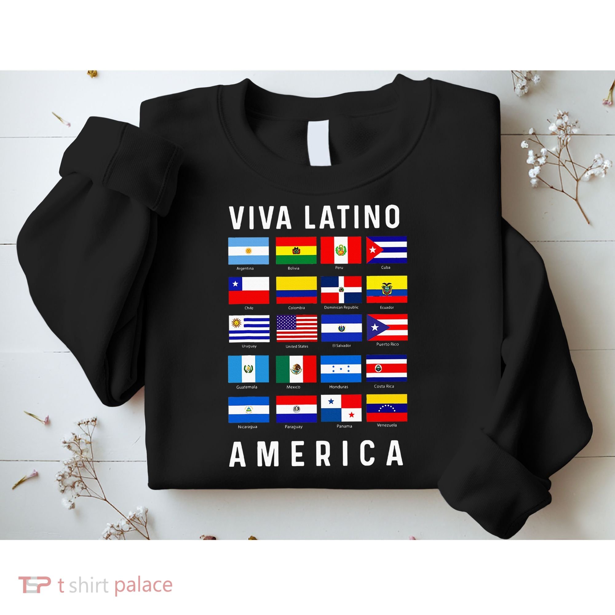 All Latin American Flags Countries Viva Latino America Sweatshirt