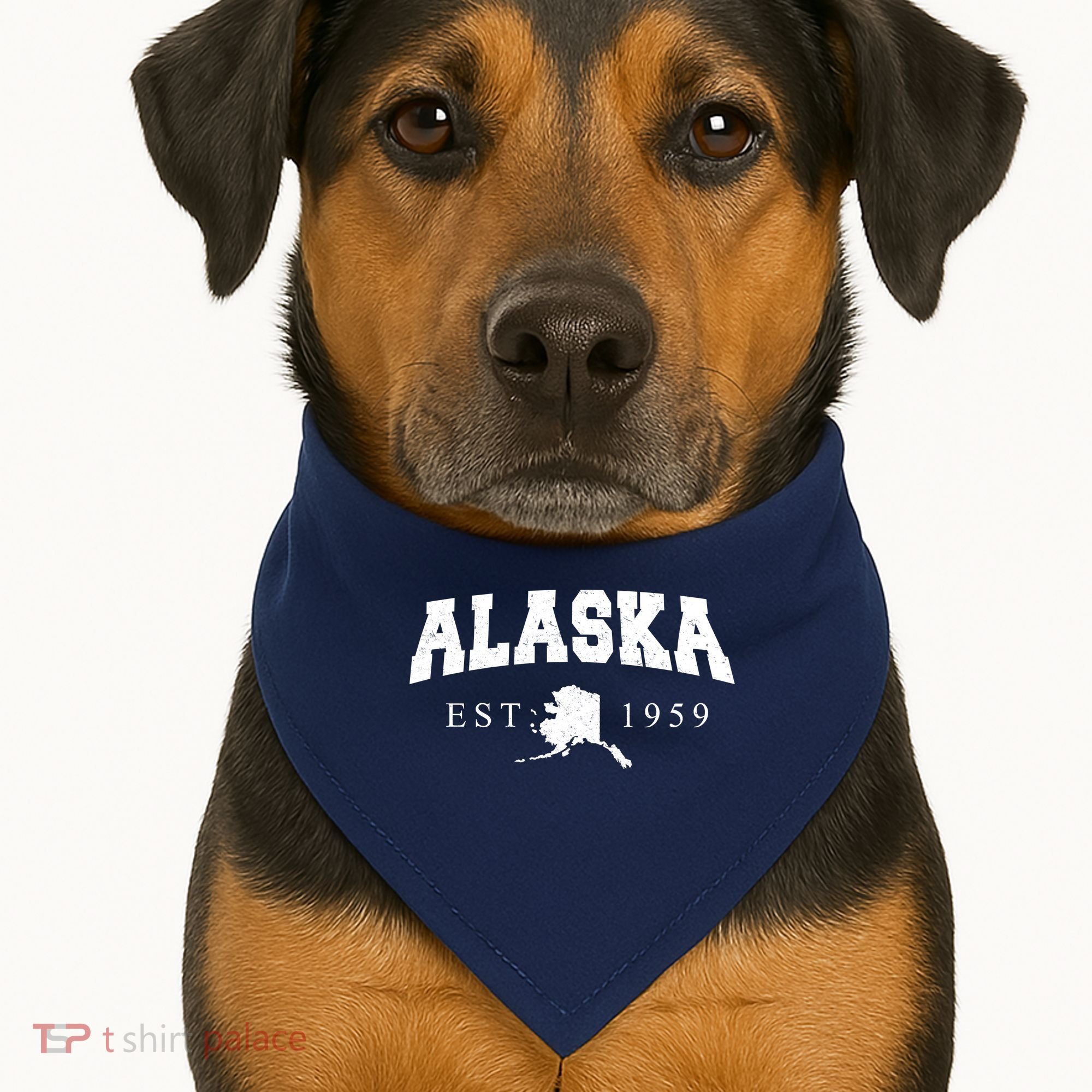 Alaska EST. 1959 USA-Made Doggie Bandana
