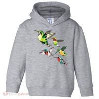 Animal Lover Birdwatching Beautiful Bird Hummingbird Toddler Hoodie thumb 0