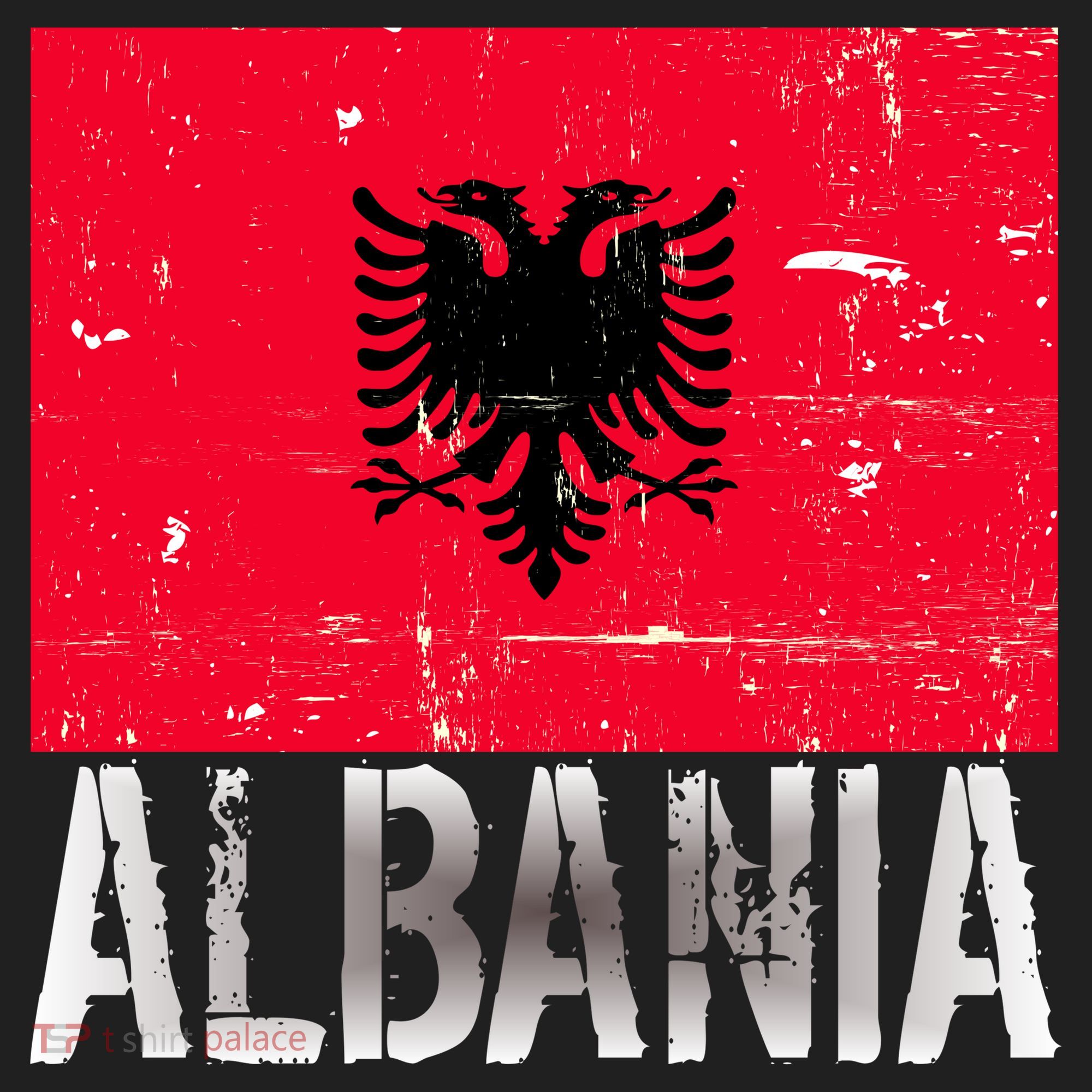 Albania Flag Albanians Soccer Football Team Beanie