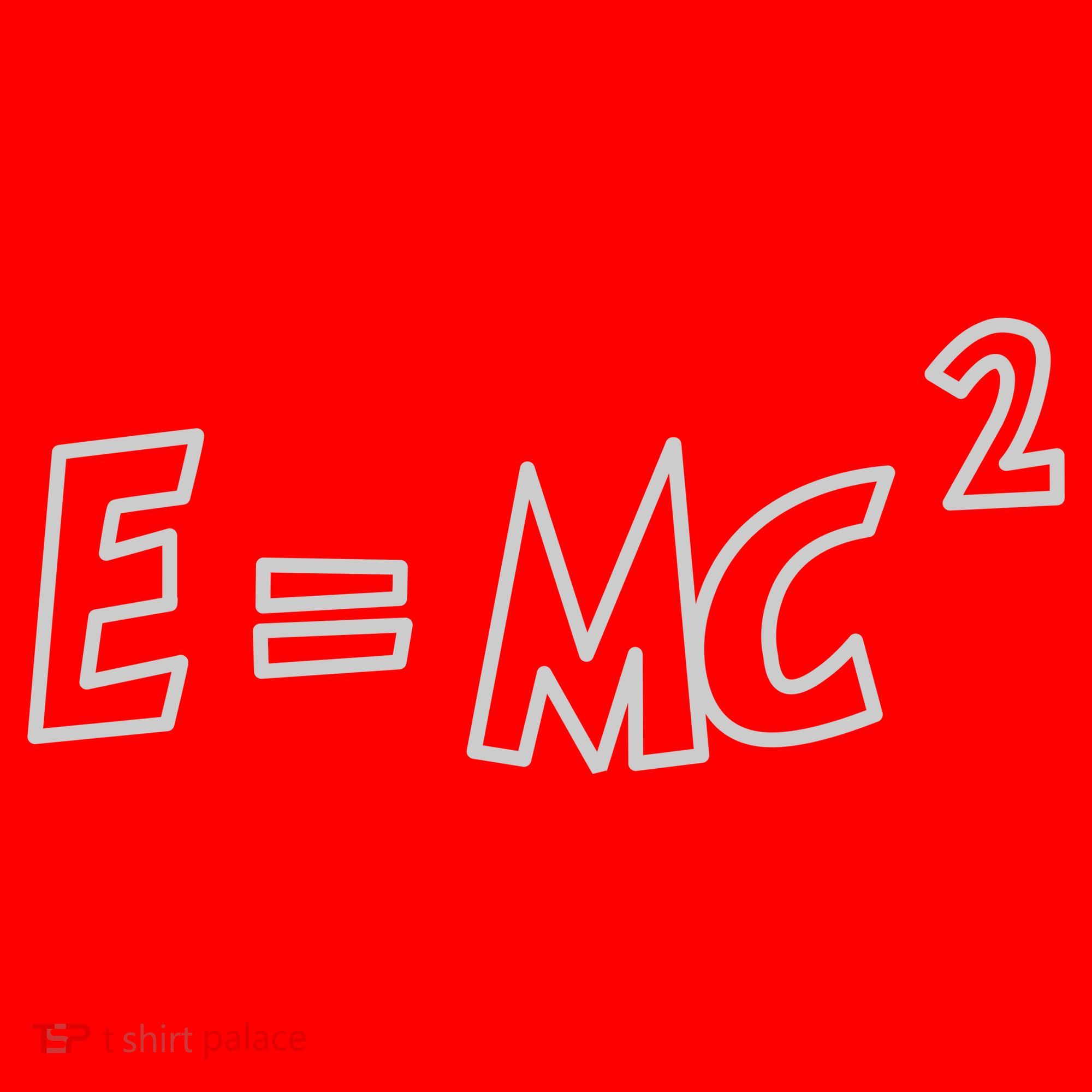 Albert Einstein E=MC2 Equation Santa Hat