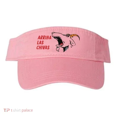 Visor