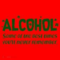 Alcohol Some of the Best Times You'll Never Remember Santa Hat thumb 1