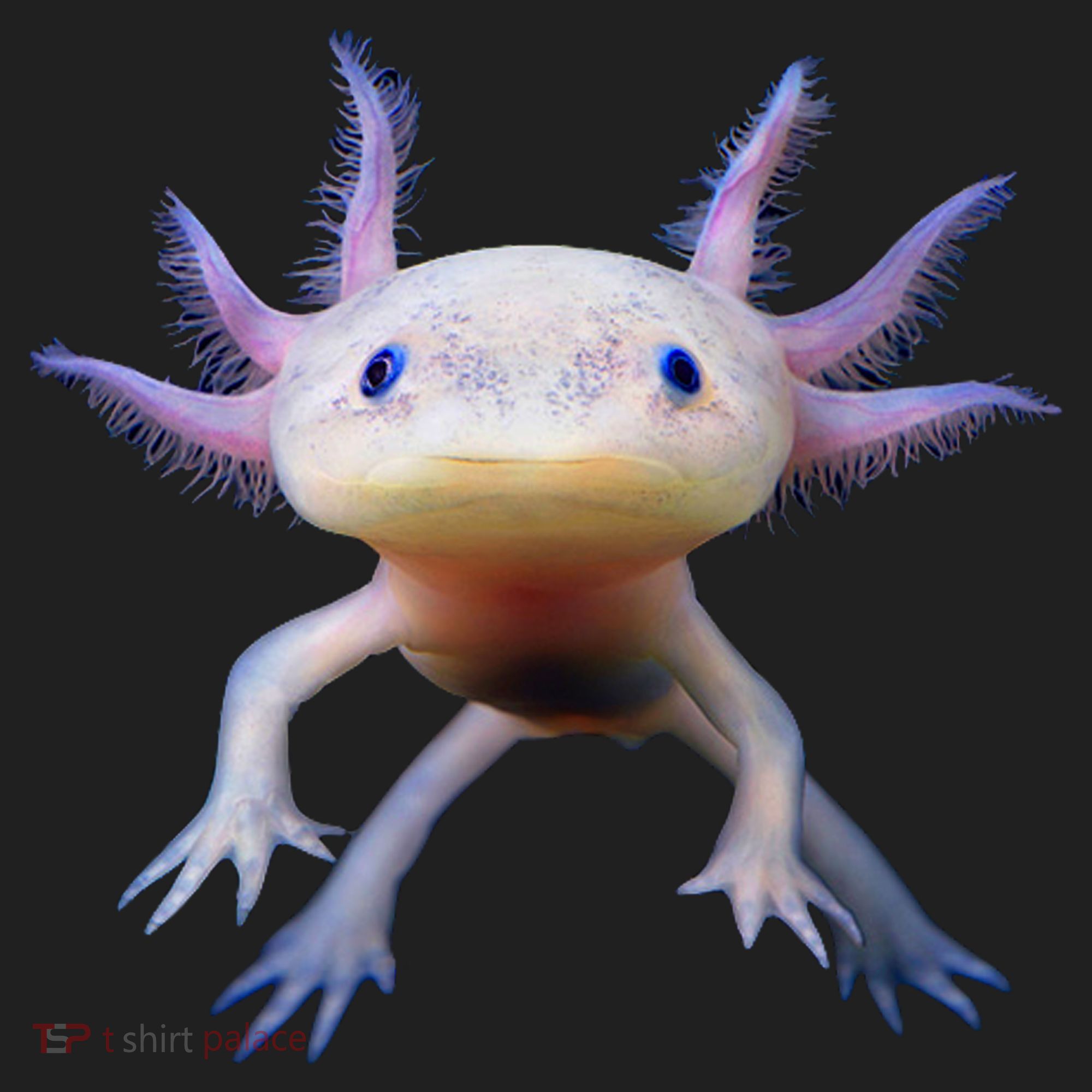 Axolotl Limited Edition Beanie
