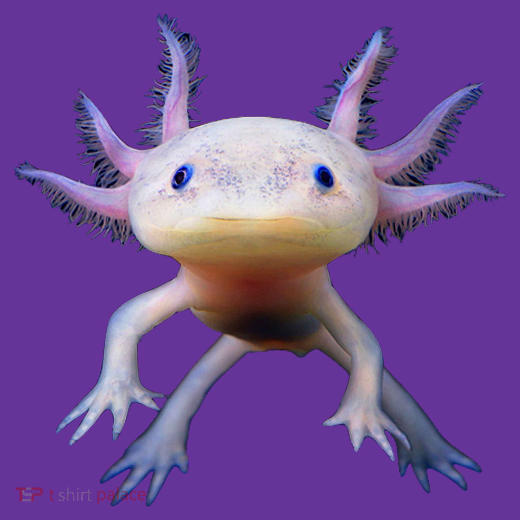Axolotl Limited Edition Baby Bodysuit