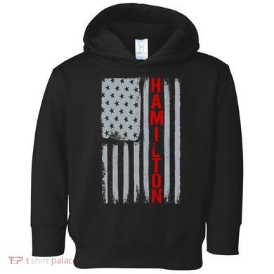 Alexander Hamilton American Vintage Flag Toddler Hoodie