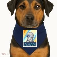 Alexander Hamilton Sunglasses USA-Made Doggie Bandana thumb 1